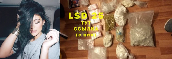 ГАЛЛЮЦИНОГЕННЫЕ ГРИБЫ Балахна