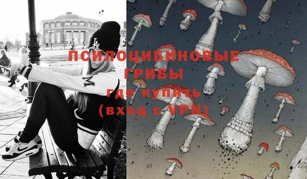 ГАЛЛЮЦИНОГЕННЫЕ ГРИБЫ Балахна