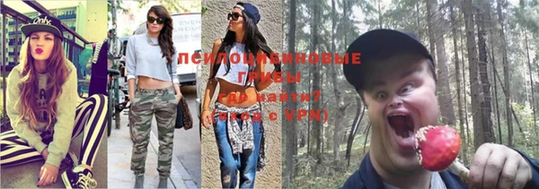 ГАЛЛЮЦИНОГЕННЫЕ ГРИБЫ Балахна