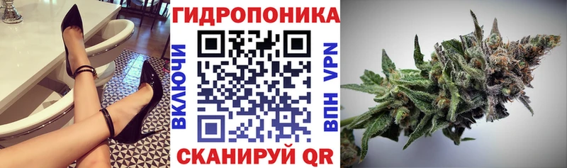 магазин продажи наркотиков  Барыш  МАРИХУАНА индика 